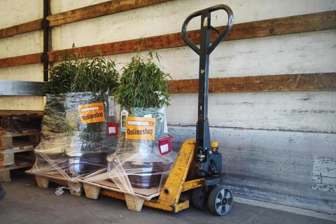 Sand kaufen bei HORNBACH