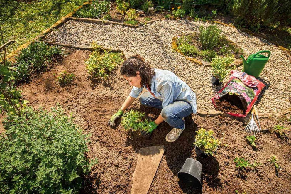 Frau pflanzt Setzlinge in einem Garten mit Kieswegen und verschiedenen Pflanzen.