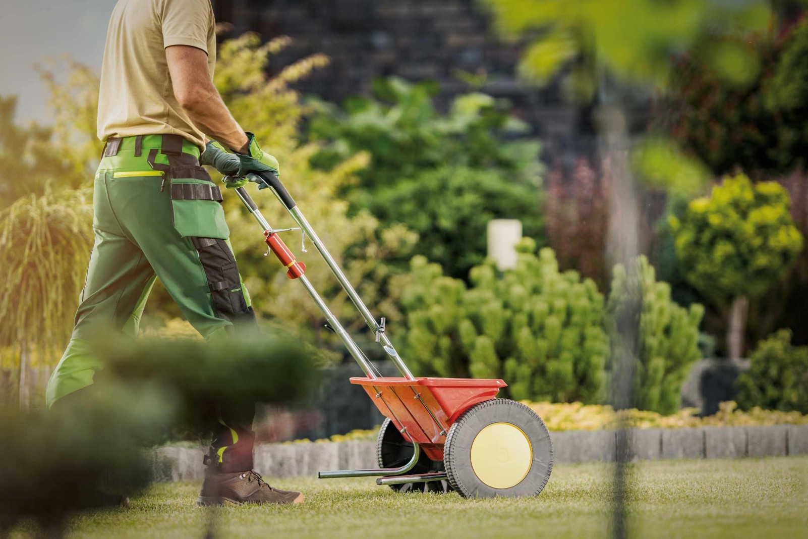 Rasen kalken HORNBACH