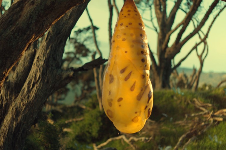 Jedes Frühjahr ein neuer Anfang 