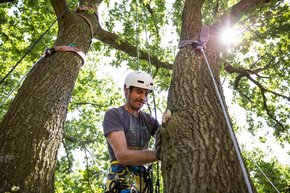 
				Lucas Wahl, der sein eigenes Baumhaus in Nostorf baut, nutzt Schlaufenbänder aus der Kronensicherung, um Stahlseile an starken Astgabeln zu befestigen. Denn: Der Baum darf beim Bau seines Baumhauses nicht beschädigt werden

			
