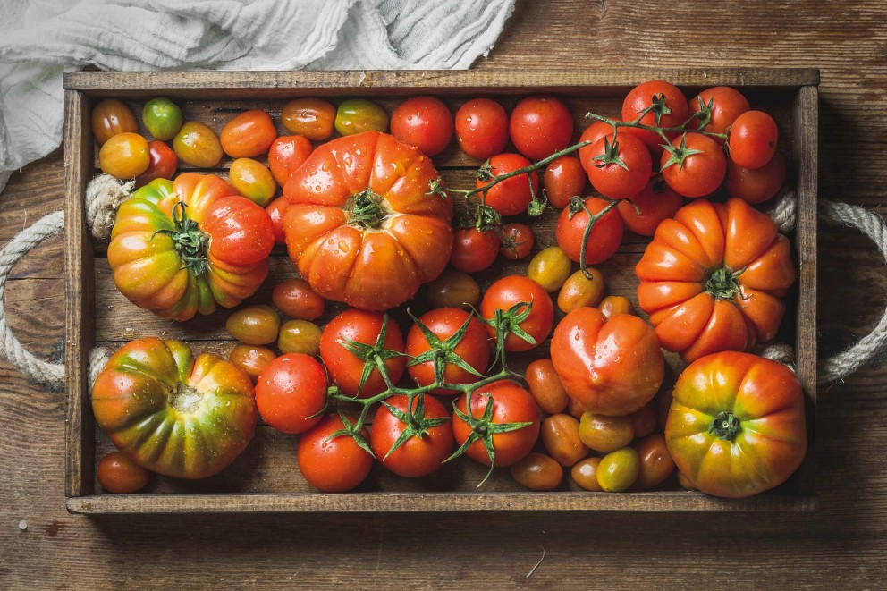 Holzkiste mit verschiedenen Tomatensorten