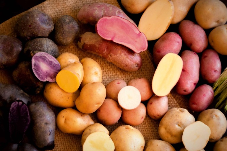 Kartoffelsorten im Überblick Kartoffelsorten im Überblick
