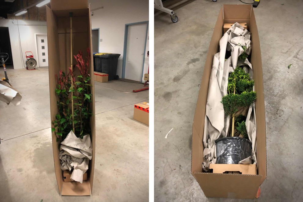 Pflanzenversand Lagerung Verpackung Karton Pflanzenversand Lagerung Verpackung Karton