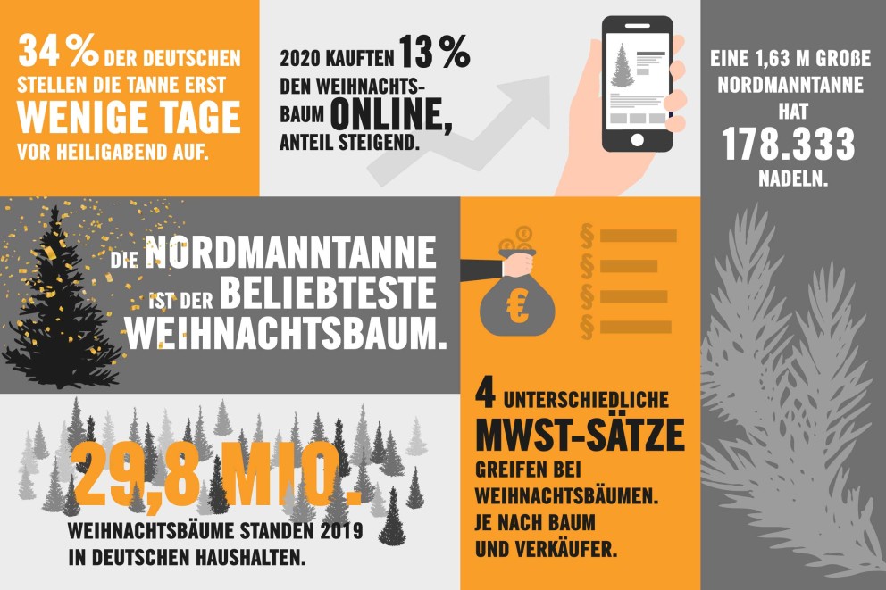 infografik weihnachtsbaum infografik weihnachtsbaum