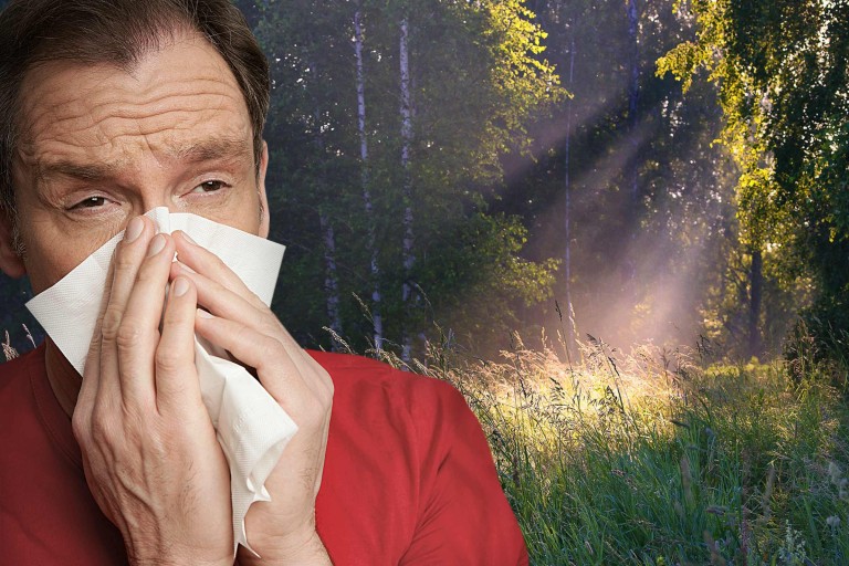 Pollen, Hausstaub & Co in der Wohnung vermeiden