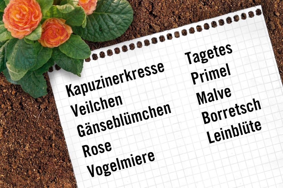 abreisszettel abreisszettel