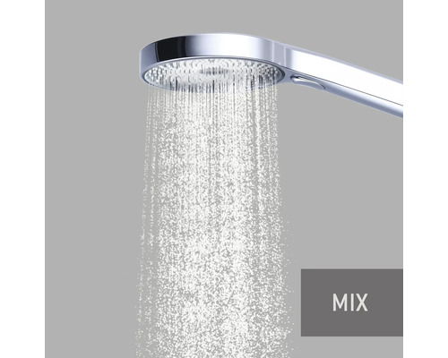 Handbrause mit Wasserstrahl