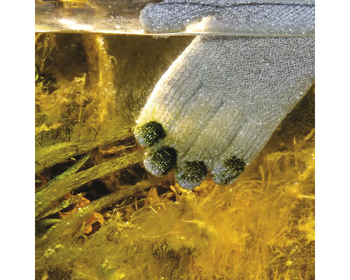 Nahaufnahme eines Teichreinigungshandschuhs unter Wasser