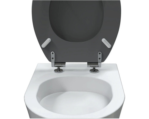 Toilettensitz mit Absenkautomatik auf einer Toilette