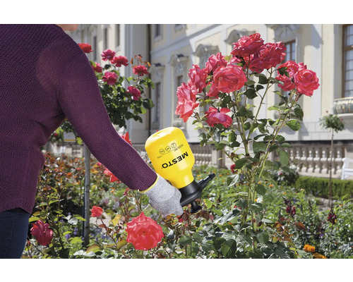 Anwendung eines MESTO Drucksprühgeräts im Garten zur Rosenpflege
