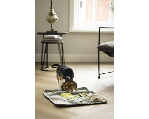 Ein Beagle Welpe spielt mit einem interaktiven Futterspielzeug auf einem Holzboden