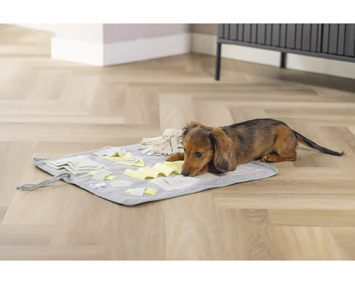 Dackel liegt auf einer grauen interaktiven Futtermatte mit Stoffstücken auf einem Holzboden