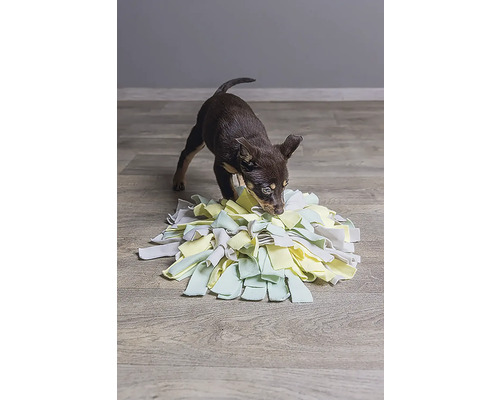 Kleiner Hund spielt mit einem Schnüffelteppich