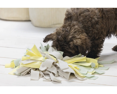 Ein brauner Hund schnüffelt an einer Schnüffelmatte für Hunde auf einem hellen Holzboden.