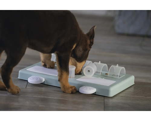 Hund spielt mit interaktivem Intelligenzspielzeug zur Futterbelohnung