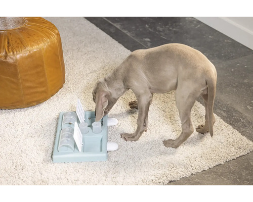 Hund spielt mit Intelligenzspielzeug auf einem Teppich.