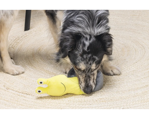 Ein Hund spielt mit einem gelben Schnecken-Hundespielzeug auf einem Teppich.