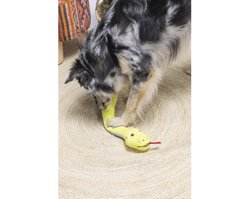 Ein Hund spielt mit einem gelben Schlangenspielzeug auf einem Teppich