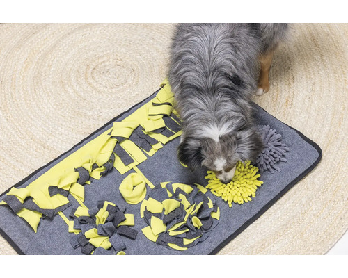 Hund sucht Futter auf einer grauen und gelben Schnüffelmatte auf einem Teppich