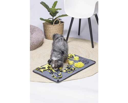 Hund sucht Futter auf einer interaktiven Schnüffelmatte.