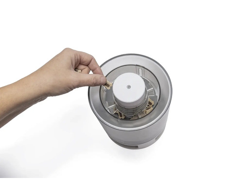 Eine Hand befüllt einen elektrischen Zerkleinerer mit Knoblauchzehen.