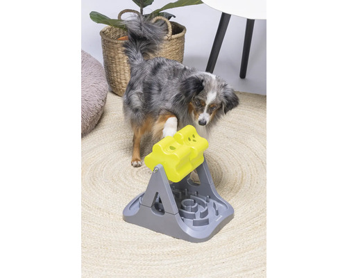 Hund spielt mit interaktivem Intelligenzspielzeug auf einem Teppich.