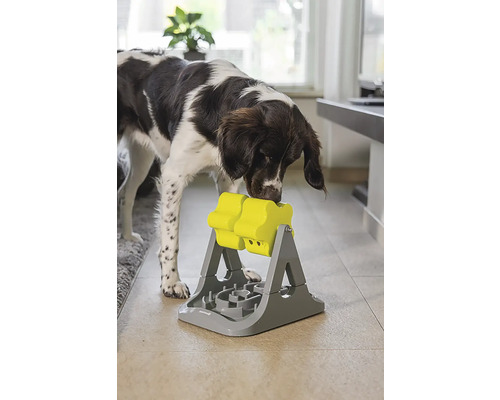Hund spielt mit interaktivem Intelligenzspielzeug zur Futterausgabe