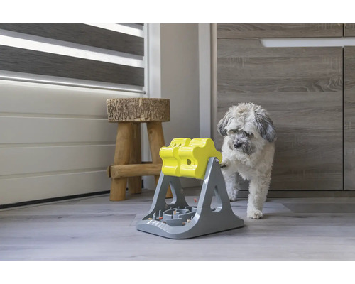 Hund mit interaktivem Spielzeug zur Futterausgabe in einem Innenraum