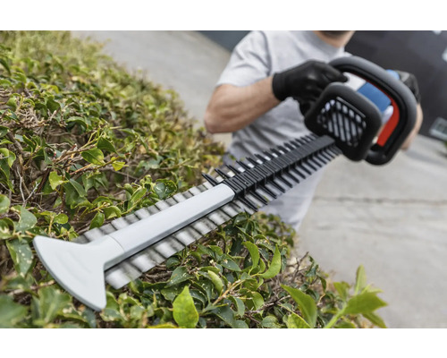 Eine Person schneidet eine Hecke mit einer Heckenschere.