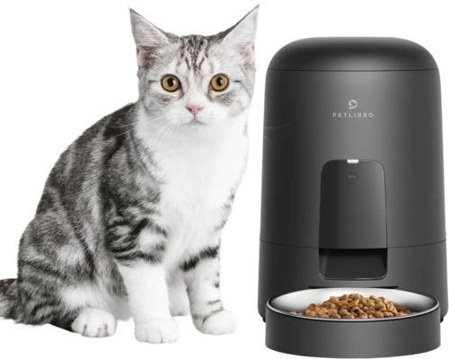 Katze neben Futterautomat