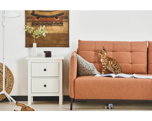 Wohnzimmer mit Sofa, Nachttisch, Überwachungskamera und einer Bengal Katze