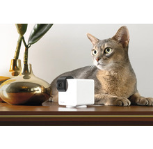 Haustierkamera auf einem Tisch mit einer Katze im Hintergrund