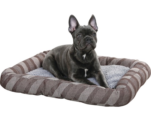Hund liegt in einem rechteckigen Hundebett mit Streifenmuster