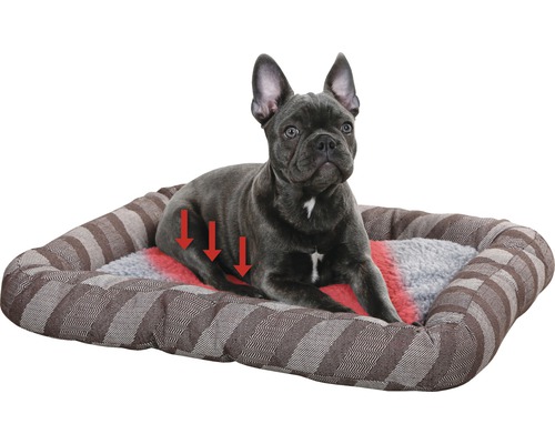 Hund liegt in einem braun gestreiften Hundebett