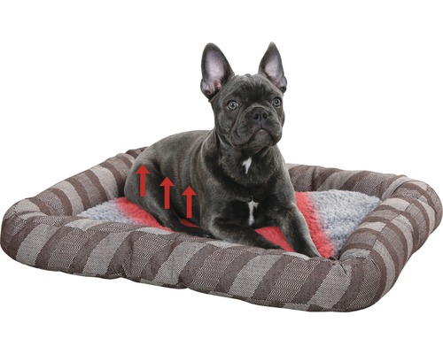 Hund liegt in einem Hundebett mit Heizfunktion