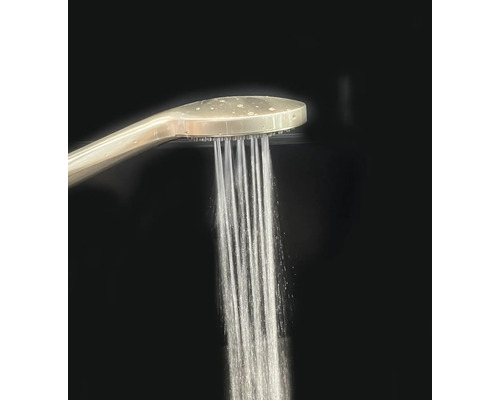 Handbrause mit laufendem Wasser