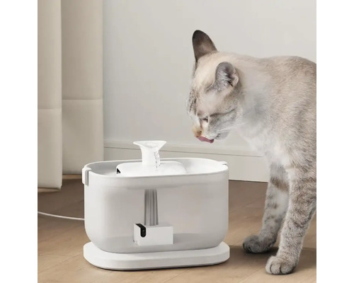 Katze trinkt aus einem Trinkbrunnen