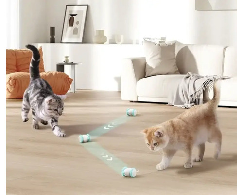 Zwei Katzen spielen mit einem interaktiven Katzenspielzeug in einem hellen Wohnzimmer.