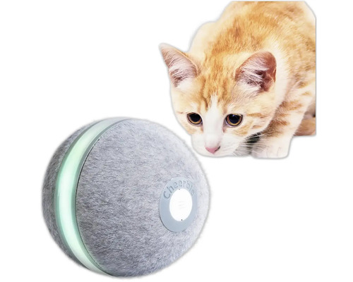 Katze betrachtet Spielzeugball für Katzen