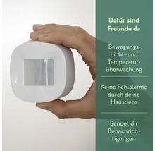 frient Motion Sensor 2 PET - Kompatibel mit SMART HOME by hornbach
