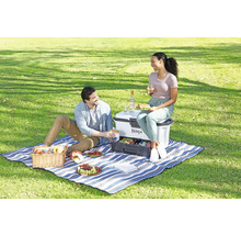 Ein Paar genießt ein Picknick im Freien mit einer Kühlbox von Ninja, gefüllt mit Speisen und Getränken.