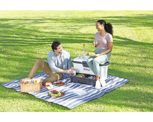 Ein Paar genießt ein Picknick im Freien mit einer Kühlbox von Ninja, gefüllt mit Speisen und Getränken.
