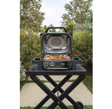 Ninja Woodfire Outdoor Elektrogrill Heißluftfritteuse Airfryer Smoker Räucherbox, 6 Kochfunktionen, 2,4 kW Modell OG701