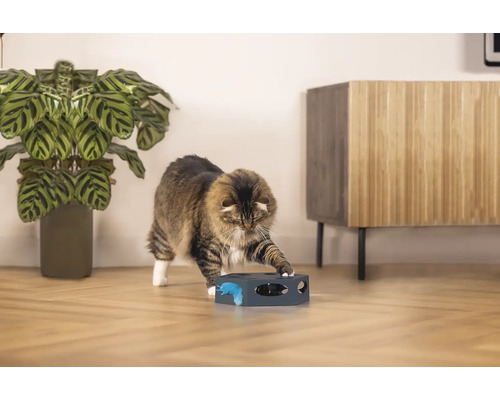 Katze spielt mit interaktivem Katzenspielzeug in Wohnraumumgebung