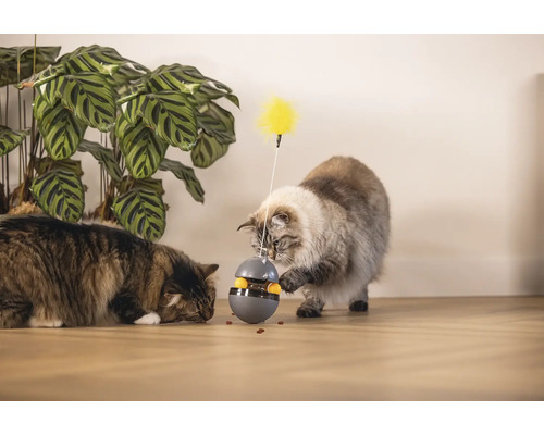 Zwei Katzen spielen mit einem interaktiven Futterspielzeug und einer Spielzeugfeder in einem hellen Raum