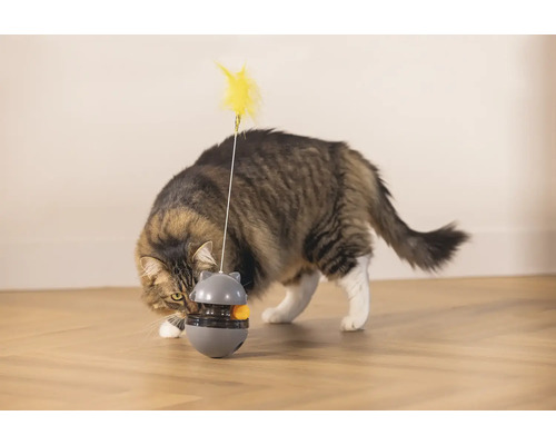 Katze spielt mit Futterball Spielzeug