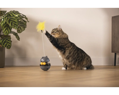 Katze spielt mit Katzenspielzeug mit Feder