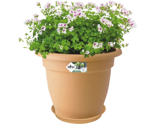 Blumentopf mit Geranien und Elho Logo