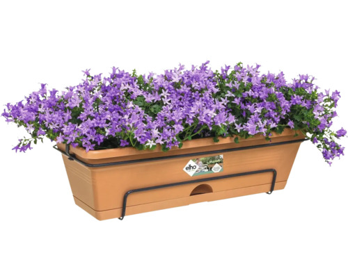Blumenkasten mit lila Glockenblumen und Halterung